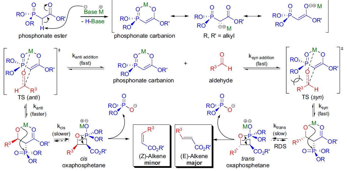 HWE 烯化反应机理