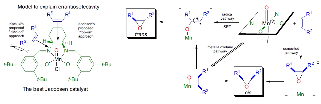 Jacobsen-Katsuki 环氧化反应机理