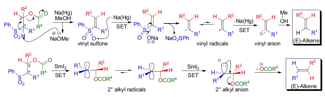 Julia-Lythgoe 烯烃化反应机理