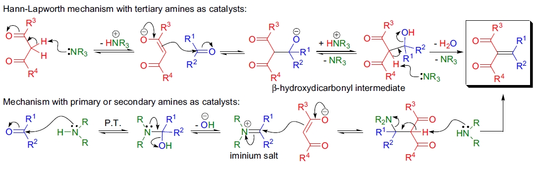 Knoevenagel 缩合反应机理