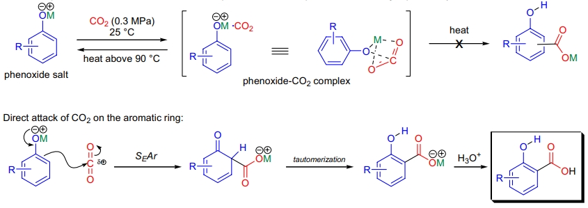 Kolbe-Schmitt 反应机理