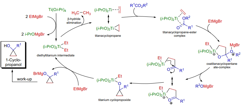 Kulinkovich 反应机理