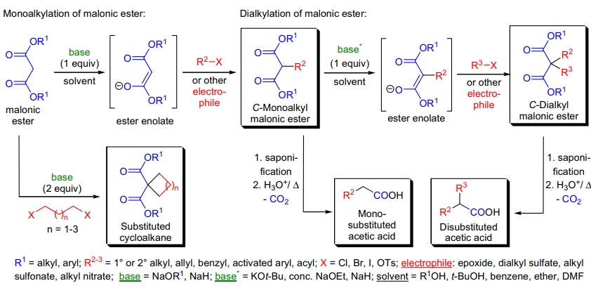Malonic 酯合成反应的重要性