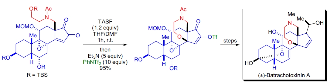(±)-Batrachotoxinin A 的合成