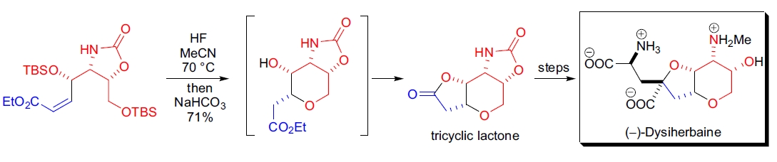 (–)-Dysiherbaine 的合成