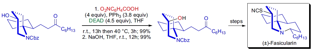 (±)-Fasicularin 的全合成