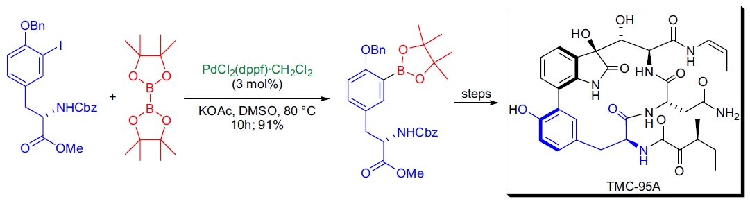 TMC-95A 的全合成
