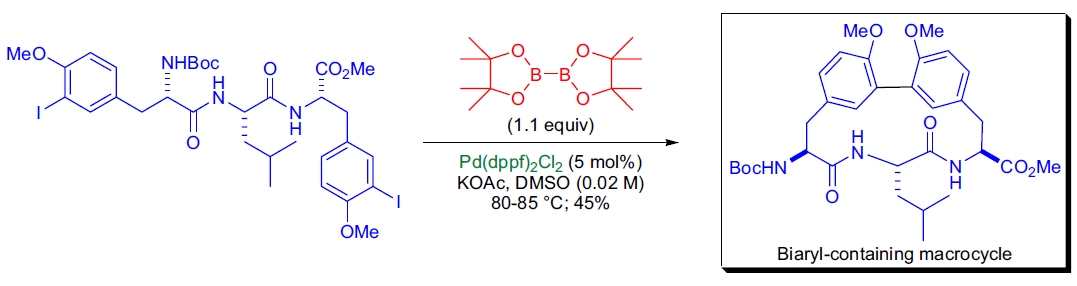 含联芳基的大环化合物的合成