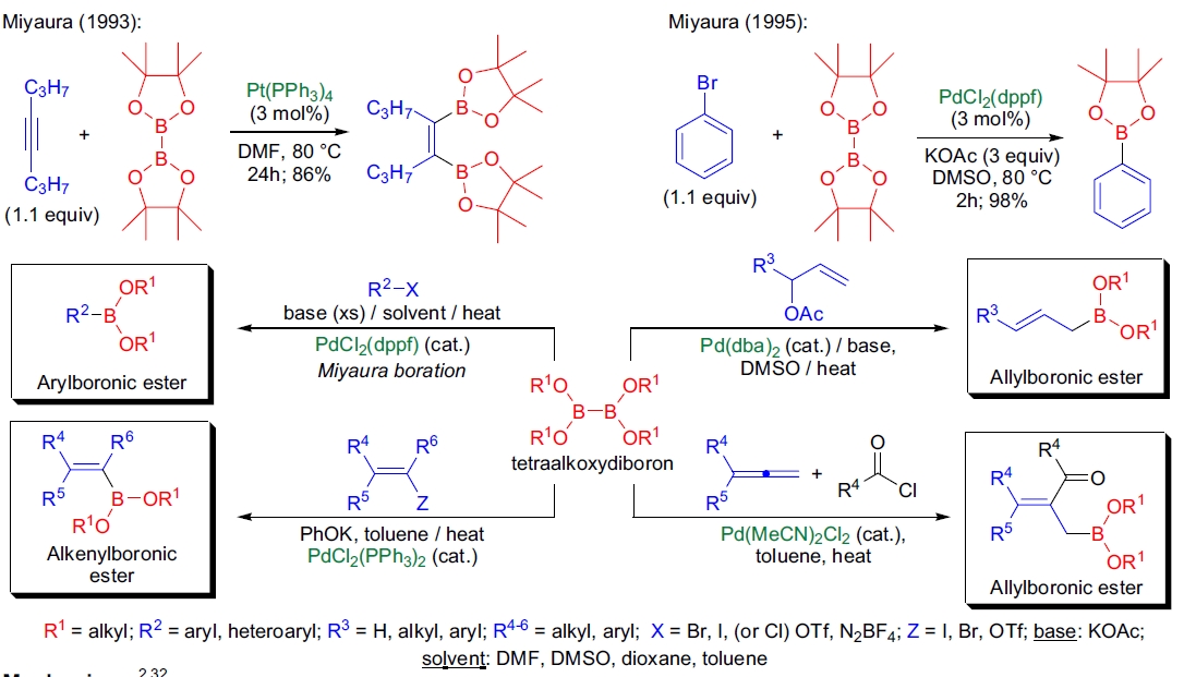 Miyaura 硼化反应的重要性