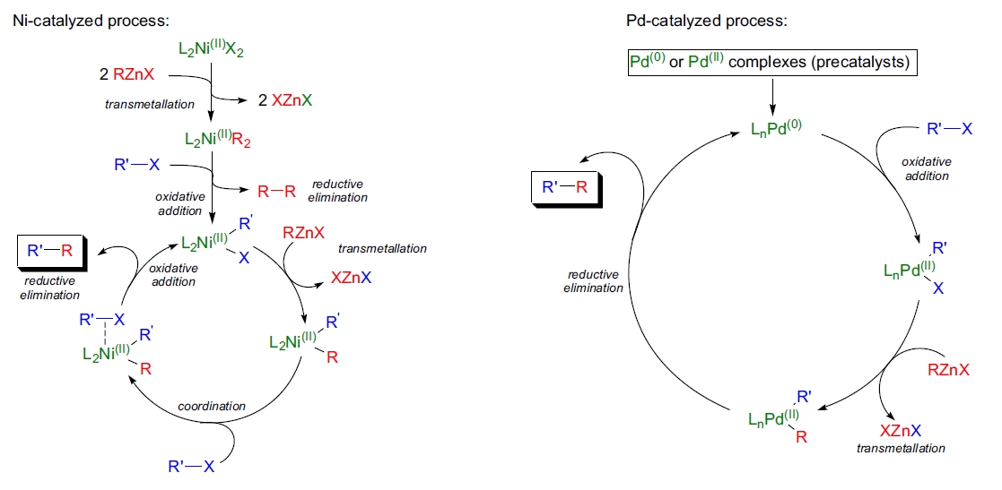 Negishi交叉偶联反应的机理