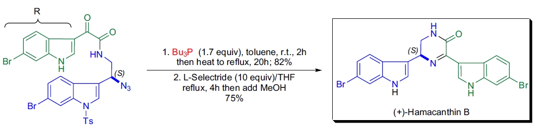 Synthetic application 2