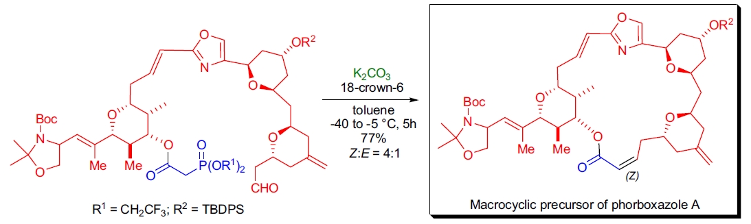 Still-Gennari 应用1