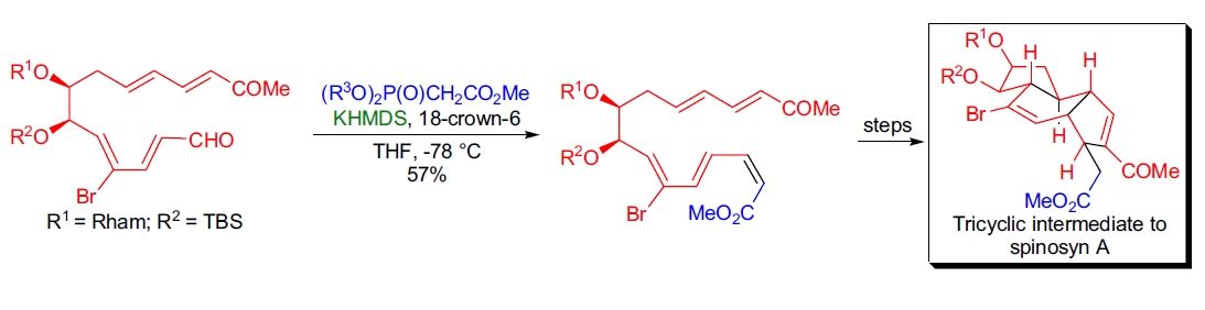 Still-Gennari 应用4